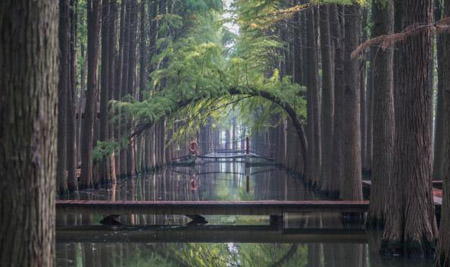 泰州十大最好玩的地方，泰州旅游景點(diǎn)攻略