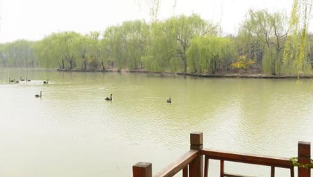 阜陽十大好玩的地方，阜陽有什么好玩的地方景點